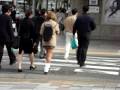 Skirt too short???