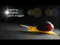 Youtube thumb