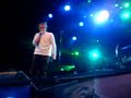 Gentse feeste -Hippoman- Gentse feeste -Hippoman-