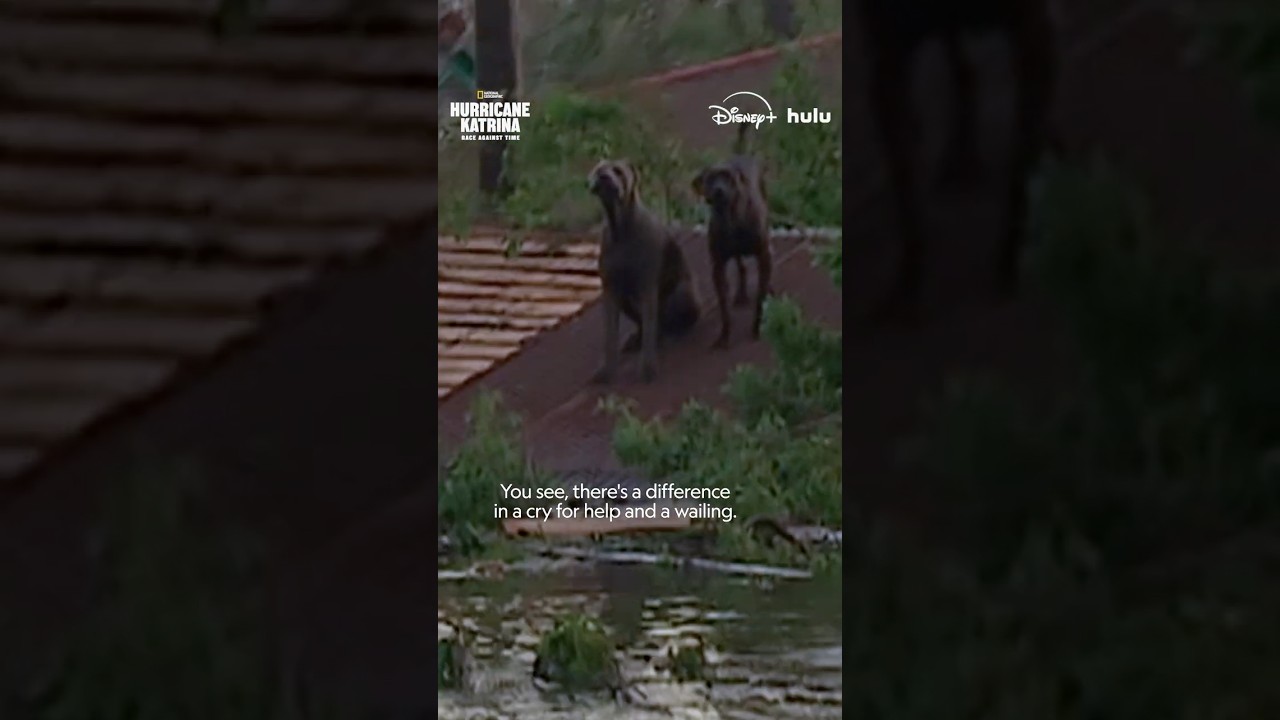 Entire neighborhoods were underwater, but the search for survivors continued. #HurricaneKatrina