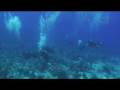 Rangiroa drift dive Tiputa Pass