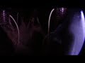 Cannabis In The Closet  (Bubbleponic System)
