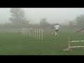 Chase in the Fog