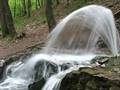 videos de Gregorian-Sequentia-Sancti Spiritus [24]