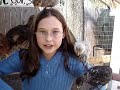 STORYTUBES Your Chickens: A Kids Guide