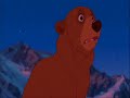Brother Bear - Kenai�s just a Kid