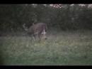 7pt Buck 10/27/07