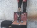 videos de Where is my mind... xD
