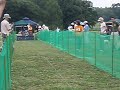 JRTCJラッセルレース決勝・優勝ワンコたち