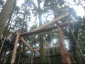 ツリーハウスが出来るまで②