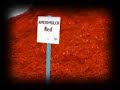 Kurtz Bros., Inc. Makes Mulch from Scrapwood