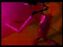 Puppet Stop Motion (WolkenSchein) Puppet Stop Motion (WolkenSchein)