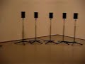 forty part motet at the moma january 2006