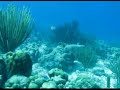 Omar Bonaire 19 Oktober diving after storm Omar Bonaire 19 Oktober diving after storm