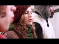 Madjo Insomnia Official Music Video and Lyrics