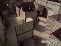 CQB CQB