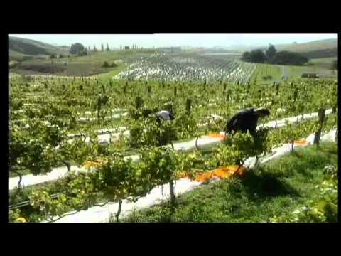 how to get pr in new zealand from india