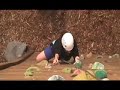 The Rock Wall