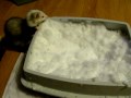 Shelby's winter fun indoors~