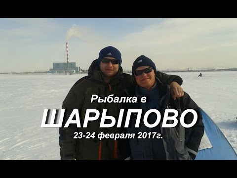 прогноз ловли рыбы в шарыпово прогноз ловли рыбы в шарыпово