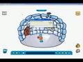 How to be rockhopper