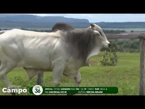 1 De Olho na Fazenda SELEO DO CAMPO