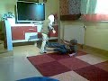 edi&dado2 edi&dado2