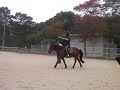 練習風景3　2009年10月25日