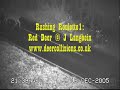 red deer hinds and stags crossing major road and nearly being hit by vehicles in the uk; filmed at night with infrared camera. shows the very real risk of deer vehicle collisions. find out more at www.deercollisions.co.uk