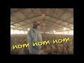 Los videos que no salieron en el ep 120 de WDF PAGINA WEB : www.whatdafaqshow.com FB Oficial ‪http Mox FB: ‪www.facebook.com Twitter: ‪bit.ly