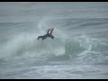 zarautz bodyboard