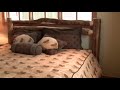 Silverthorne Townhome Vacation Rental - Bedroom 4