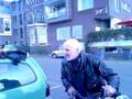 videos de Funny hobo dango
