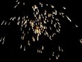 nit de lalbà 2006   elx/elche