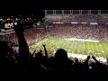 South Carolina Gamecocks Ole Miss Celebration