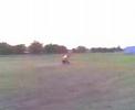 z400 wheelie wreck