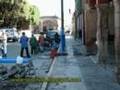 Salvatierra Gto Historia de animales