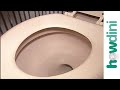How to unclog a toilet - How to free a clogged toilet