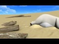 bear desert island