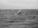 Surfen Grevelingenmeer (Part1)