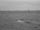 Surfen Grevelingenmeer (Part1) Surfen Grevelingenmeer (Part1)