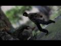 videos de Uncharted Drake's Fortune