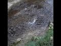 Im ROTBACHTOBEL