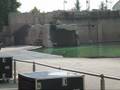 videos de _Gere 2008_