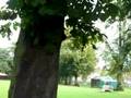 videos de Little Bowden Recreation Ground, Market Harborough