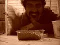 Cortometraje de Arte Matamorense