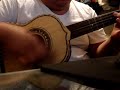 El Cascabel Solo