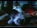 Mario - Got Milk?