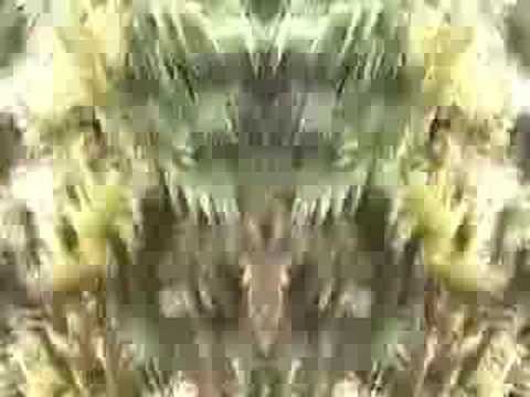 生活の柄　カバー