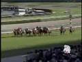 2007 セントライト記念 St. Lite Kinen